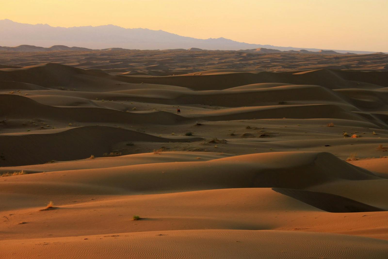 Central Persian Desert Basins